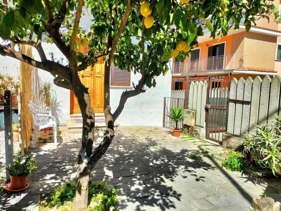 Lemon Casa Con Giardino